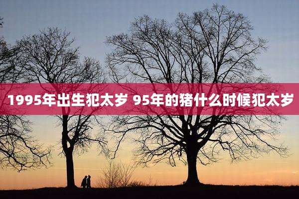 1995年出生犯太岁 95年的猪什么时候犯太岁
