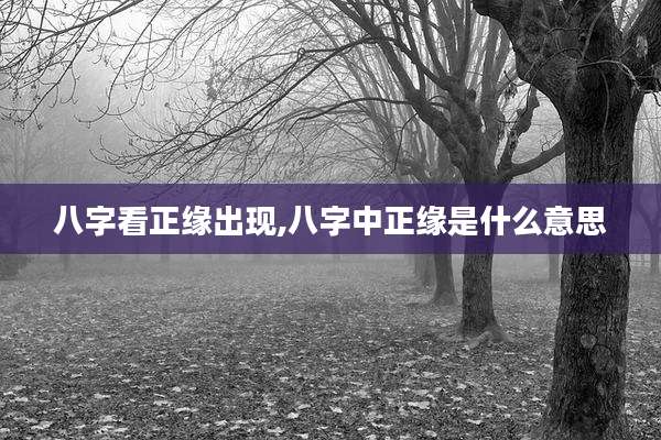 八字看正缘出现,八字中正缘是什么意思