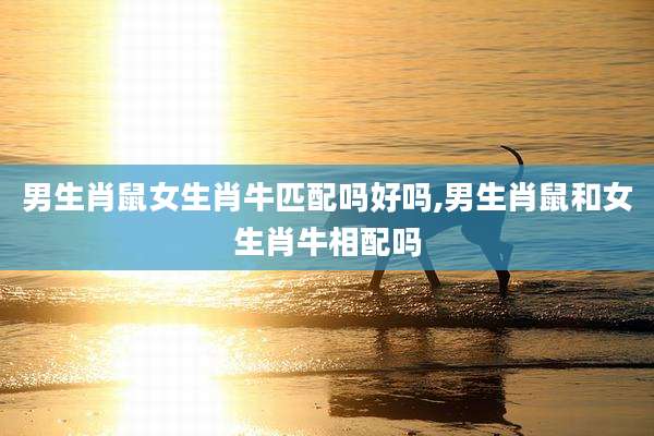 男生肖鼠女生肖牛匹配吗好吗,男生肖鼠和女生肖牛相配吗