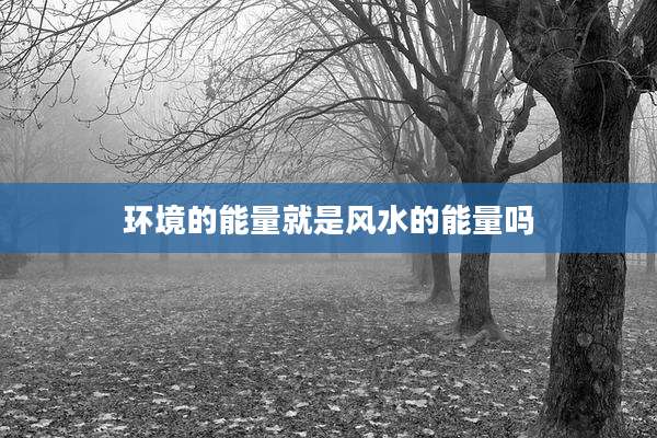 环境的能量就是风水的能量吗