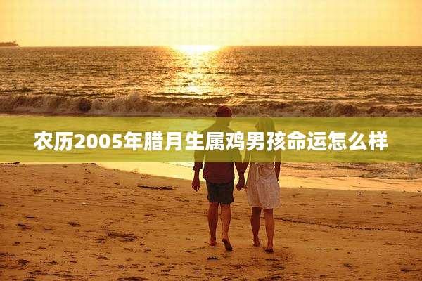 农历2005年腊月生属鸡男孩命运怎么样
