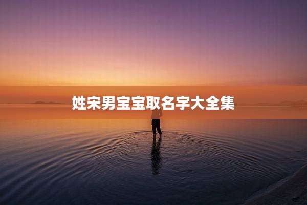 姓宋男宝宝取名字大全集