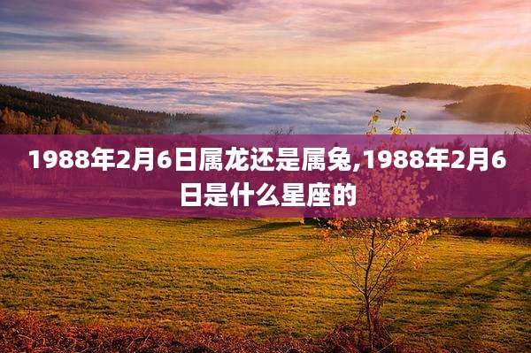 1988年2月6日属龙还是属兔,1988年2月6日是什么星座的