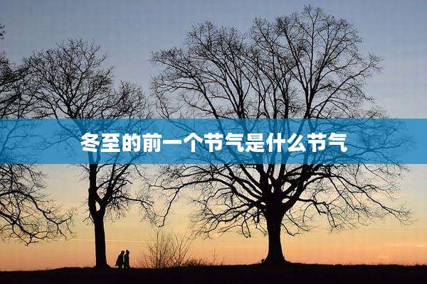 冬至的前一个节气是什么节气