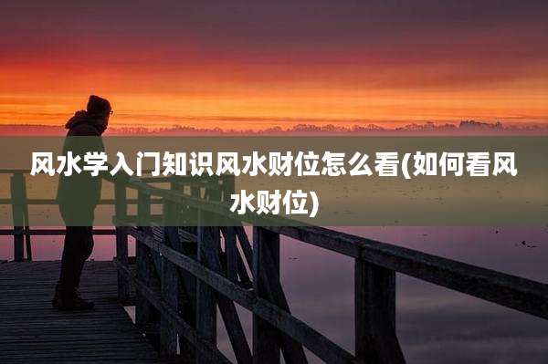 风水学入门知识风水财位怎么看(如何看风水财位)