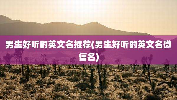 男生好听的英文名推荐(男生好听的英文名微信名)