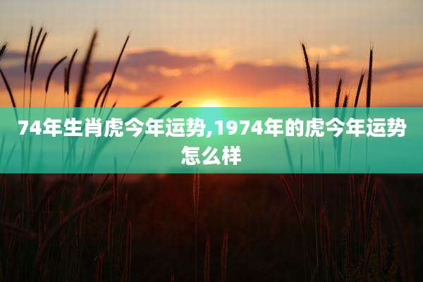 74年生肖虎今年运势,1974年的虎今年运势怎么样