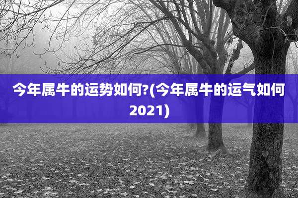 今年属牛的运势如何?(今年属牛的运气如何2021)