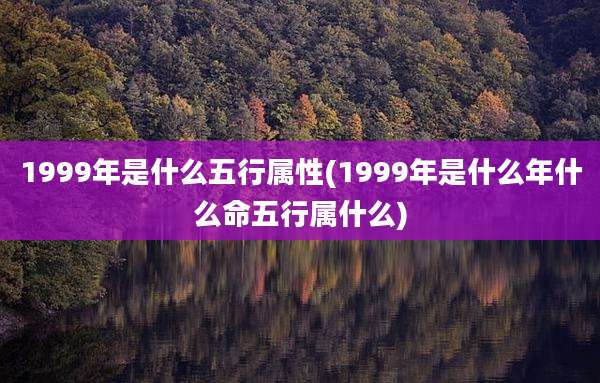1999年是什么五行属性(1999年是什么年什么命五行属什么)