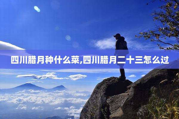 四川腊月种什么菜,四川腊月二十三怎么过