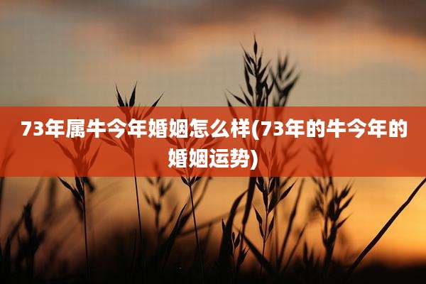 73年属牛今年婚姻怎么样(73年的牛今年的婚姻运势)
