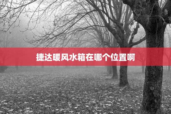 捷达暖风水箱在哪个位置啊