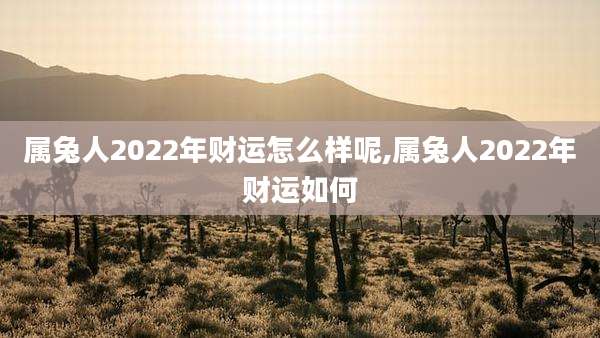 属兔人2022年财运怎么样呢,属兔人2022年财运如何