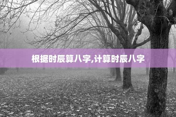 根据时辰算八字,计算时辰八字
