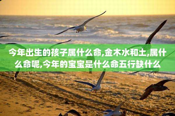 今年出生的孩子属什么命,金木水和土,属什么命呢,今年的宝宝是什么命五行缺什么