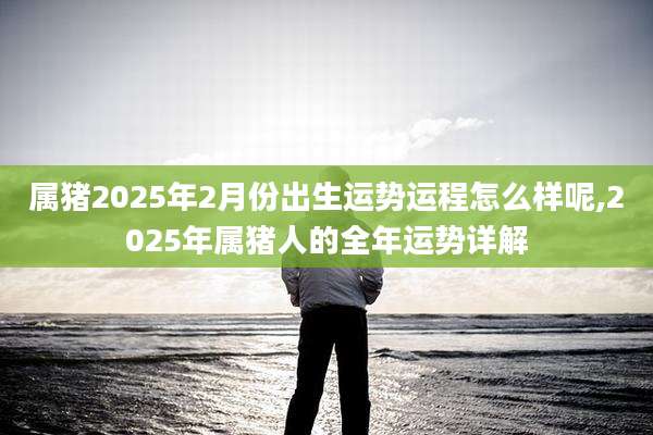 属猪2025年2月份出生运势运程怎么样呢,2025年属猪人的全年运势详解