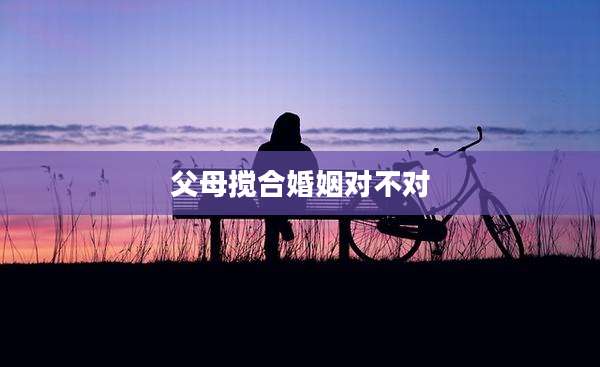父母搅合婚姻对不对