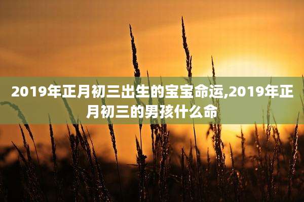 2019年正月初三出生的宝宝命运,2019年正月初三的男孩什么命