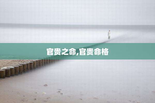 官贵之命,官贵命格