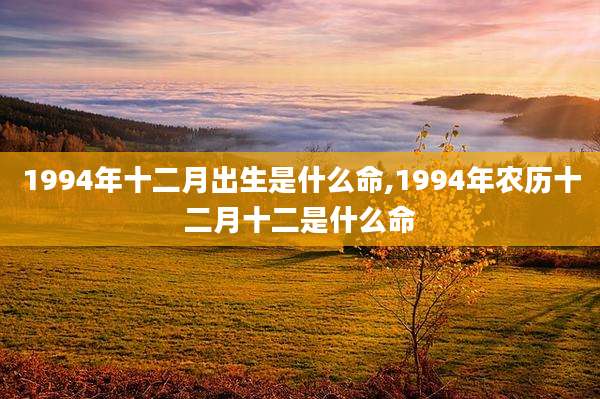 1994年十二月出生是什么命,1994年农历十二月十二是什么命