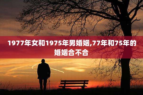 1977年女和1975年男婚姻,77年和75年的婚姻合不合