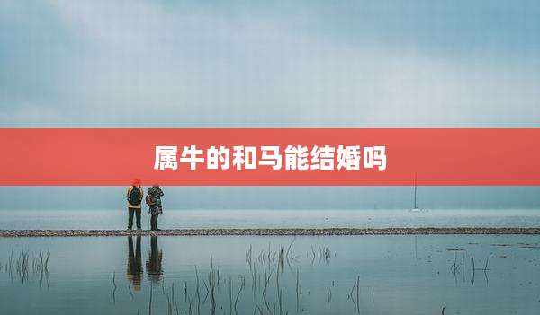 属牛的和马能结婚吗
