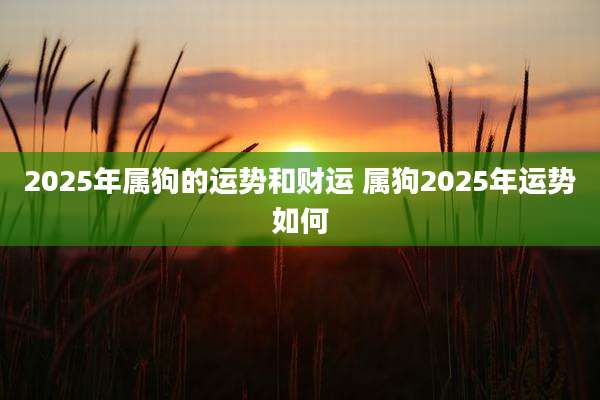 2025年属狗的运势和财运 属狗2025年运势如何