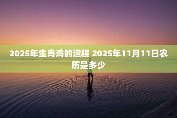 2025年生肖鸡的运程 2025年11月11日农历是多少