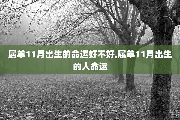 属羊11月出生的命运好不好,属羊11月出生的人命运