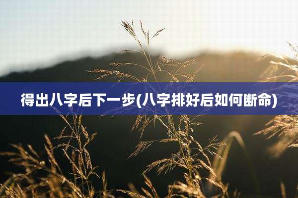 得出八字后下一步(八字排好后如何断命)