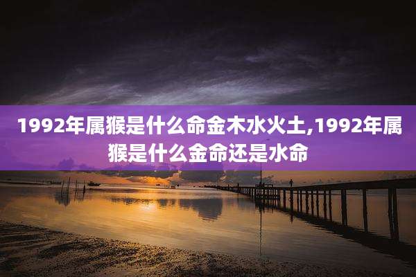 1992年属猴是什么命金木水火土,1992年属猴是什么金命还是水命
