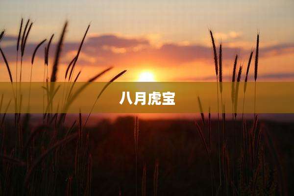 八月虎宝