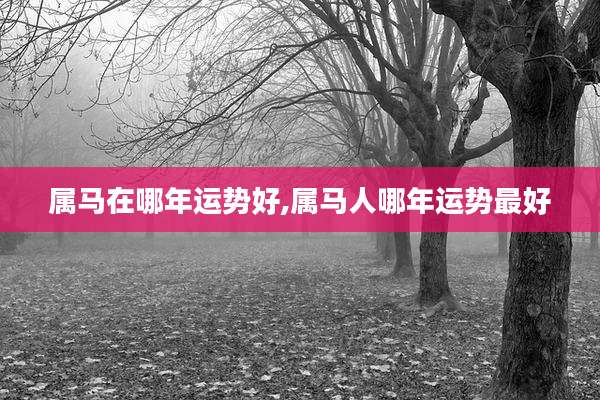 属马在哪年运势好,属马人哪年运势最好