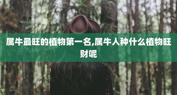 属牛最旺的植物第一名,属牛人种什么植物旺财呢
