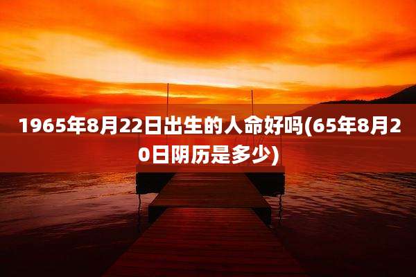 1965年8月22日出生的人命好吗(65年8月20日阴历是多少)