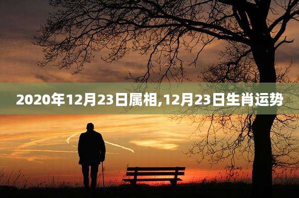 2020年12月23日属相,12月23日生肖运势