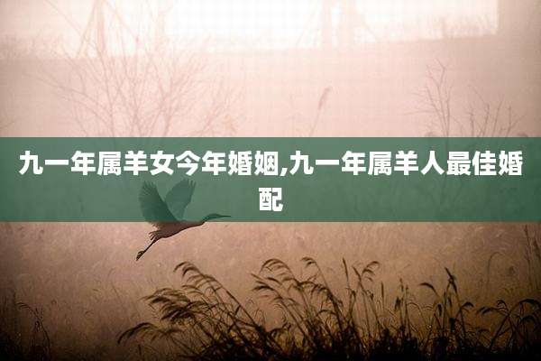 九一年属羊女今年婚姻,九一年属羊人最佳婚配