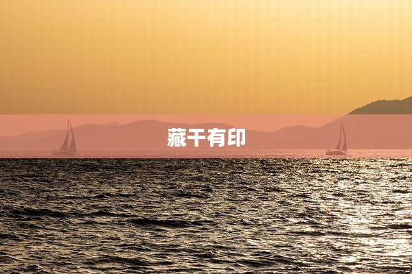 藏干有印