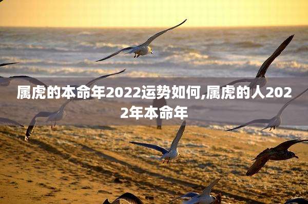 属虎的本命年2022运势如何,属虎的人2022年本命年