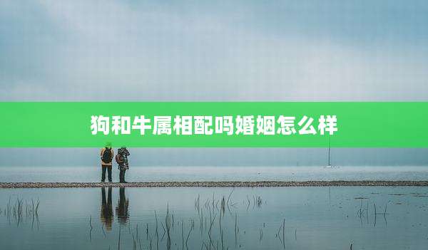 狗和牛属相配吗婚姻怎么样