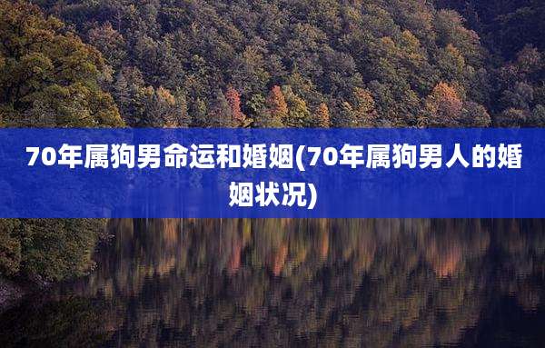 70年属狗男命运和婚姻(70年属狗男人的婚姻状况)