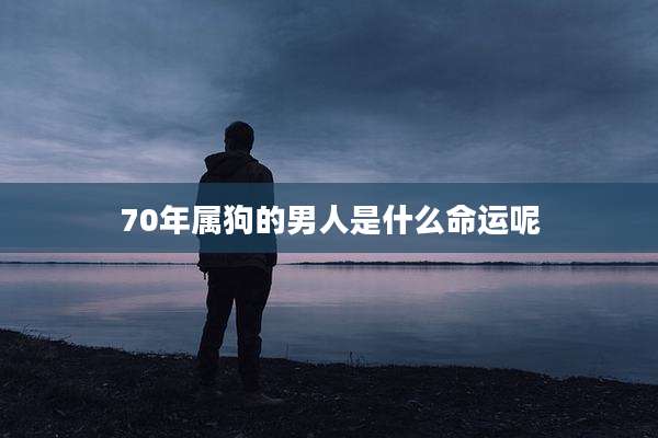 70年属狗的男人是什么命运呢
