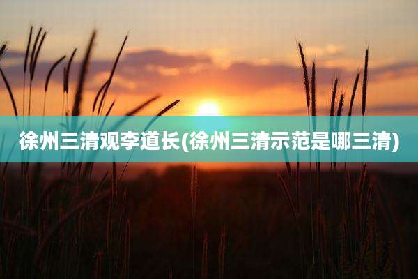 徐州三清观李道长(徐州三清示范是哪三清)