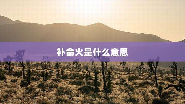 补命火是什么意思