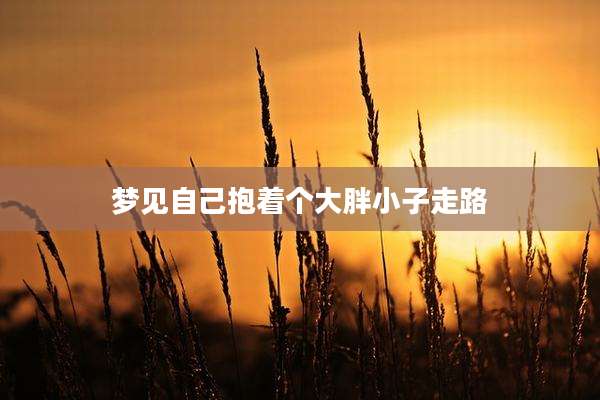 梦见自己抱着个大胖小子走路