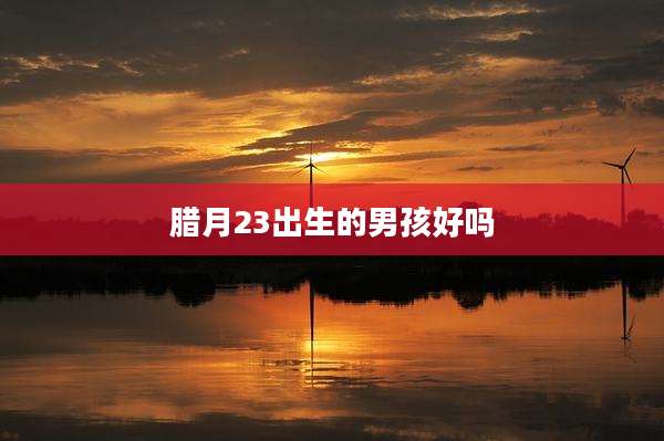 腊月23出生的男孩好吗