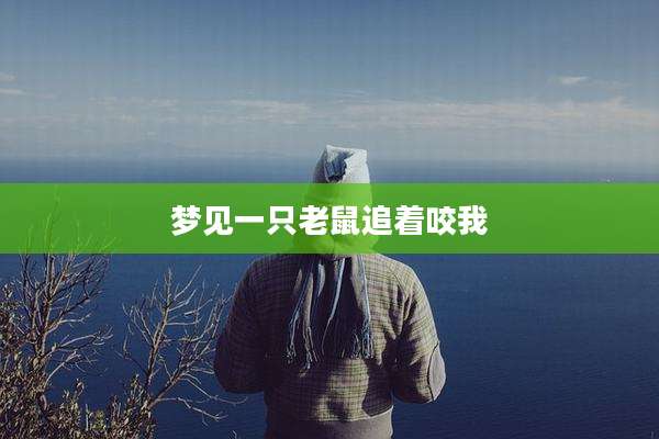梦见一只老鼠追着咬我