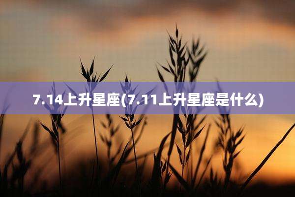 7.14上升星座(7.11上升星座是什么)