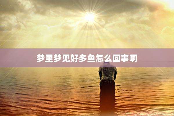梦里梦见好多鱼怎么回事啊