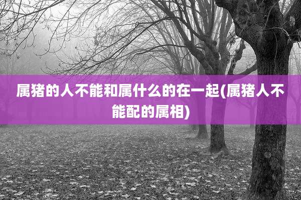 属猪的人不能和属什么的在一起(属猪人不能配的属相)